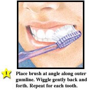 Family Guide to Oral Health svg%3E