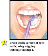 Family Guide to Oral Health svg%3E