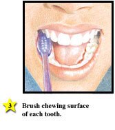 Family Guide to Oral Health svg%3E
