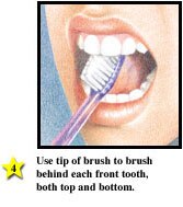 Family Guide to Oral Health svg%3E