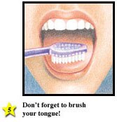 Family Guide to Oral Health svg%3E