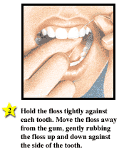 Family Guide to Oral Health svg%3E